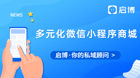 什么是多元化的微信小程序商城?有什么用？